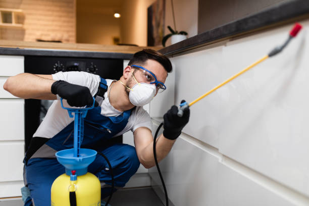 Best Best Pest Control Companies  in Cornwells Heights, PA